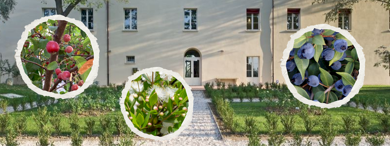 Una piccola storia da raccontare