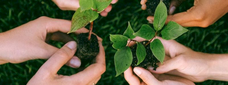 Fuori dall'orto, dentro le scuole