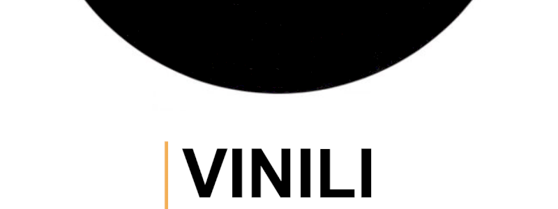 VINILI in borsa!