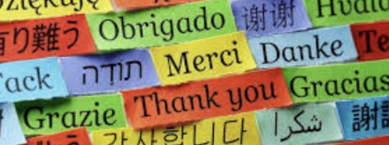 GRAZIE! Prima marcia inserita...