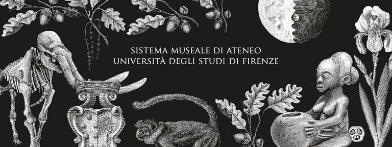 Il tuo anno tra i musei dell'Università di Firenze !