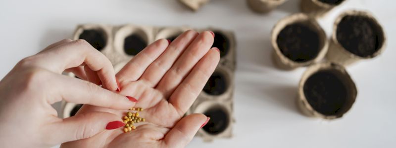 Ogni contributo conta!