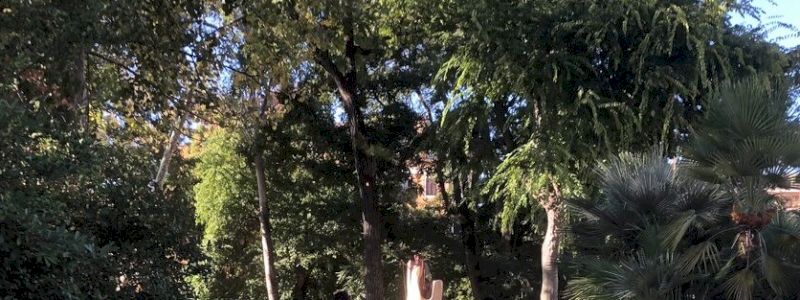 Percorso con esperto botanico