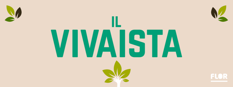 Il Vivaista | pianta un arbusto in città