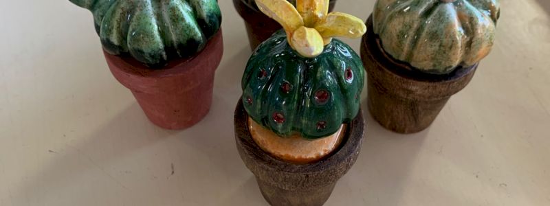 il cactus della resilienza