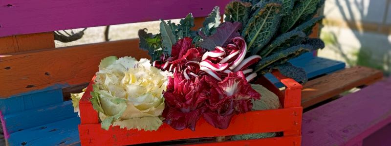 La cassetta di Campoverde