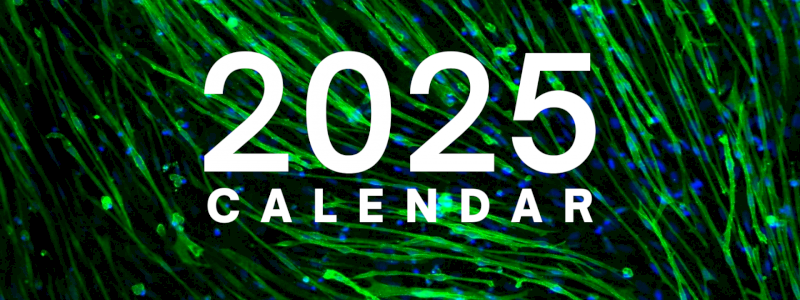 Calendario 2025 con cellule