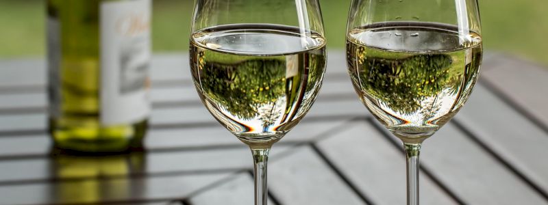 UN BICCHIERE DI VINO CON UN'INSEGNANTE DELLE STELLE DANZANTI