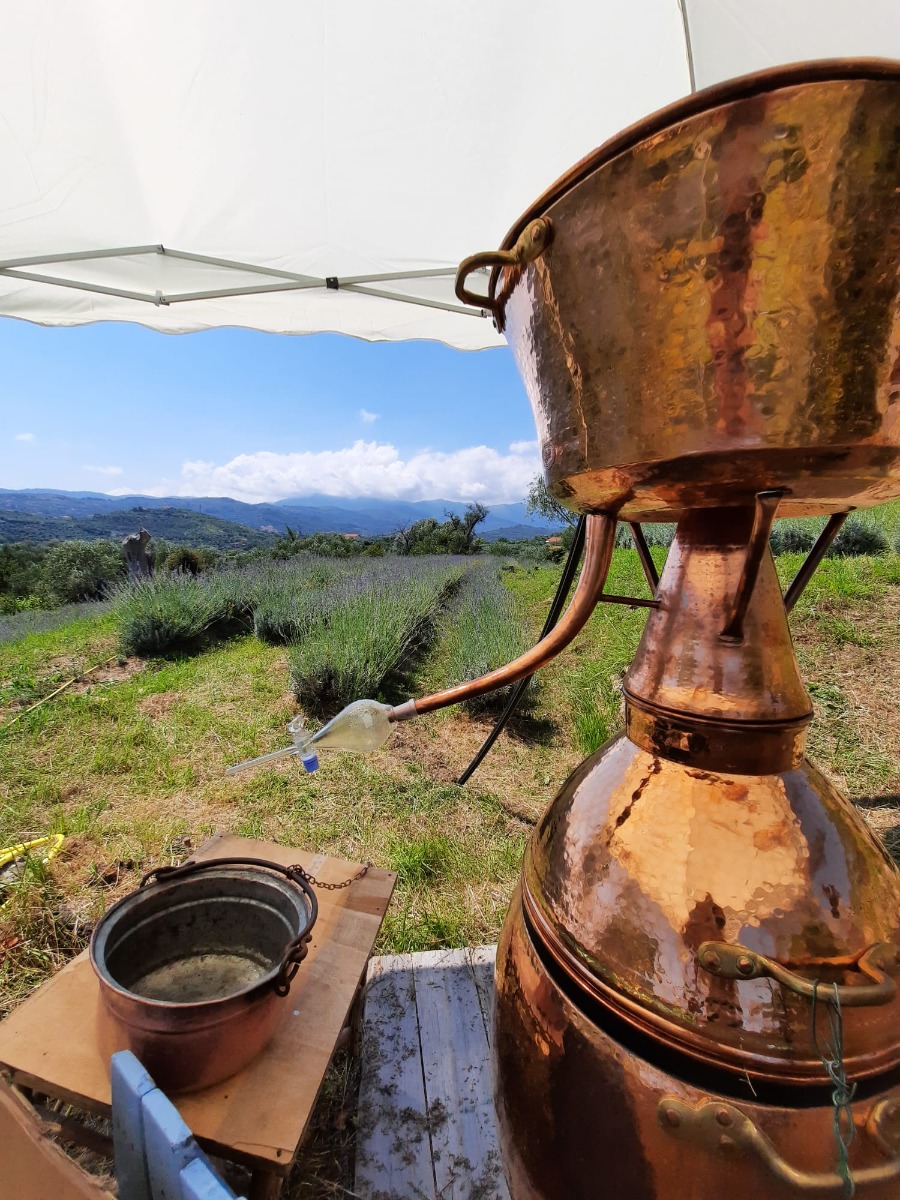 Profumatore per ambienti alla Lavanda delle Alpi Liguri 250 ml