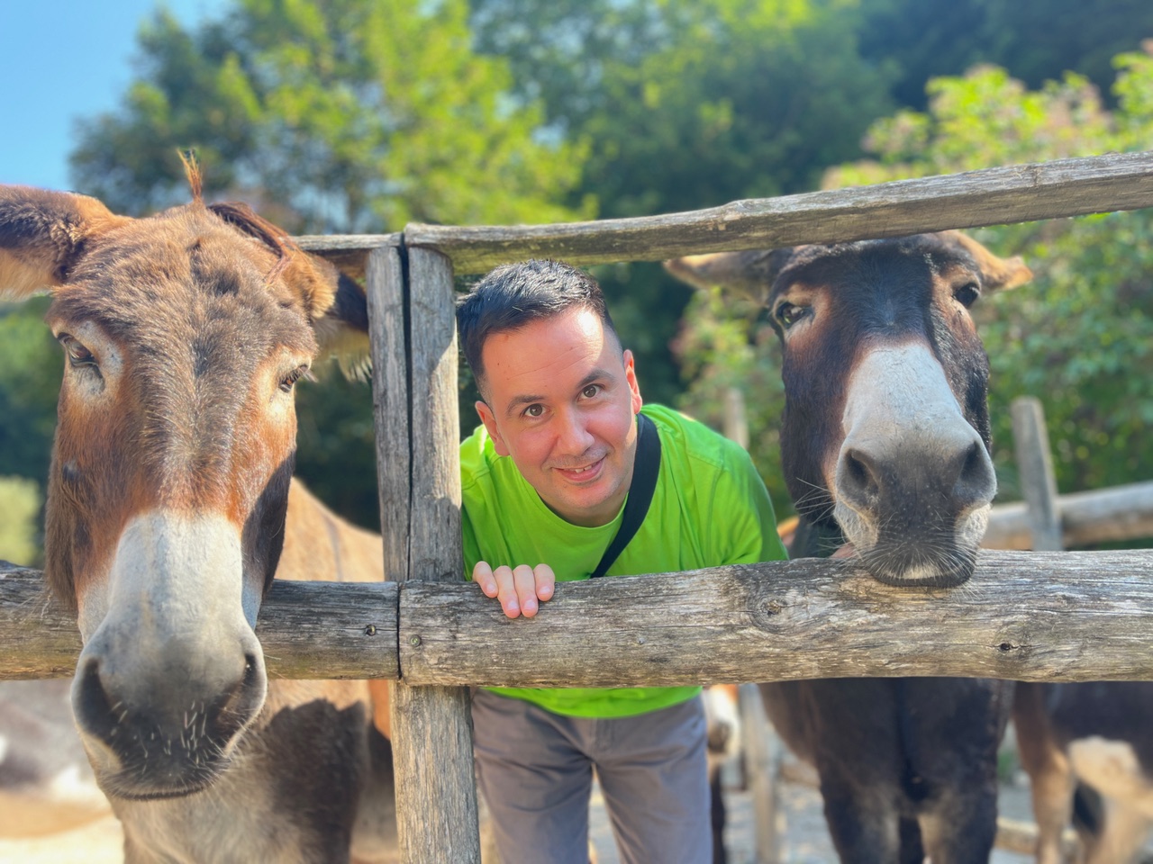 Logo focus on LVA bando ginger v34piccolo@10x-100