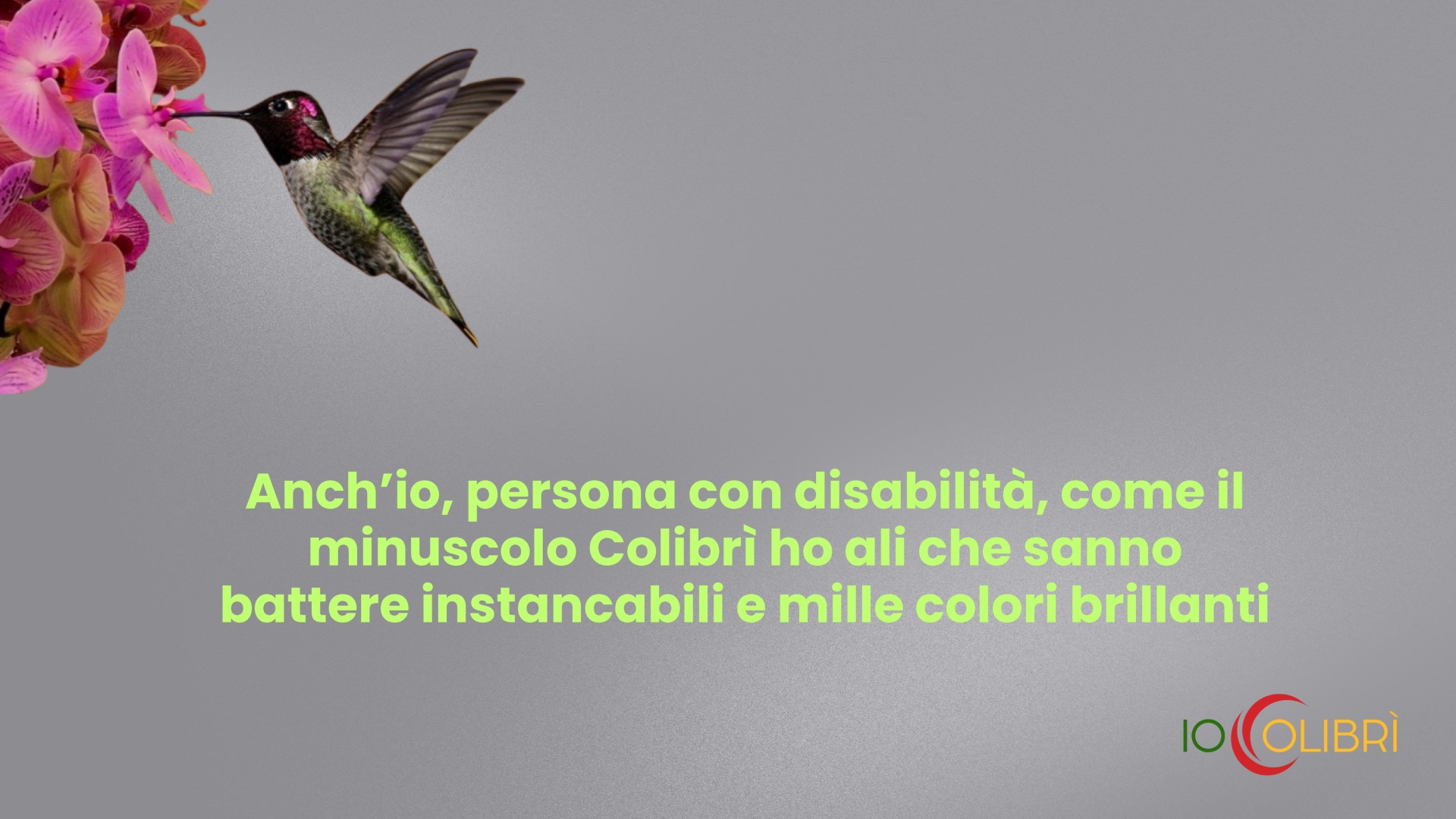 Slide immagine tonda(5)