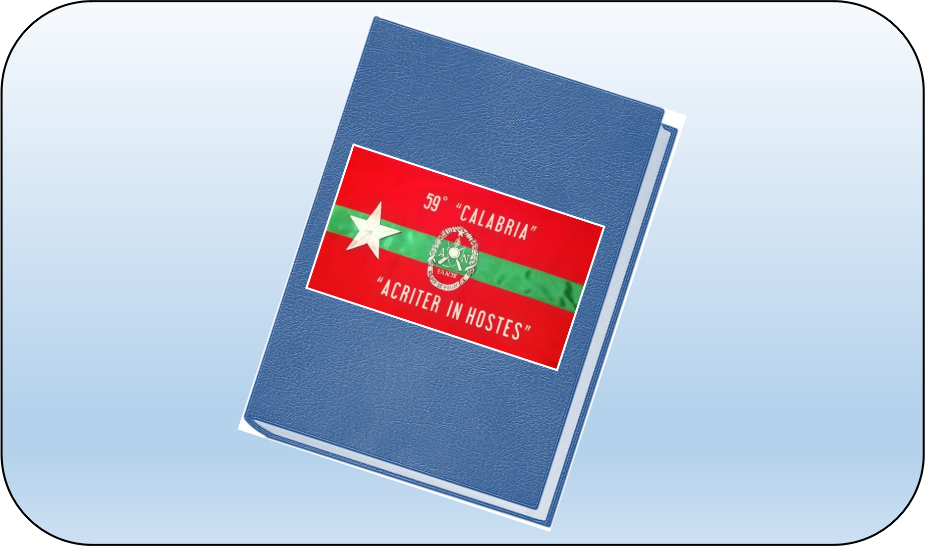 Immagine WhatsApp 2025-07-26 ore 143606_8a268668